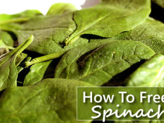 How To Freeze Fresh Spinach