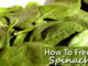 How To Freeze Fresh Spinach