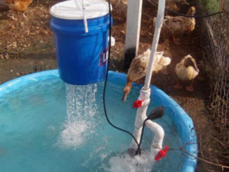 DIY Duck Pond Filter & Shower