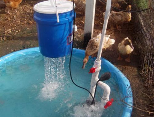 DIY Duck Pond Filter & Shower