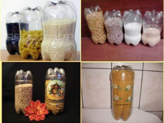 DIY Plastic Bottle Food Canisters