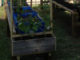 DIY Raised Garden Planter Stand
