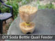 DIY 2L Soda Bottle Quail Feeder