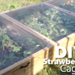 DIY Strawberry Cage