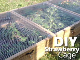 DIY Strawberry Cage