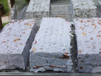 DIY Sun Dried Paper Briquettes