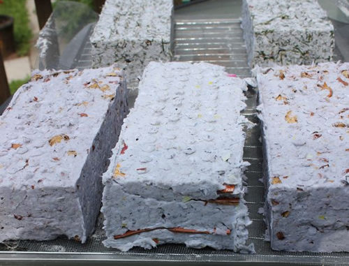 DIY Sun Dried Paper Briquettes