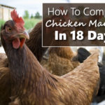 How To Compost Chicken Manure In 18 Days