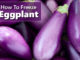 How To Freeze Eggplant