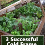 Cold Frame Gardening Tips