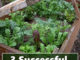Cold Frame Gardening Tips