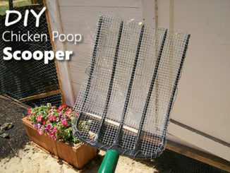 DIY Chicken Poop Scooper