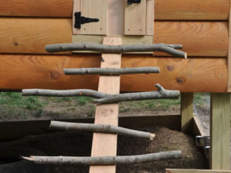 DIY Natural Stick Chicken Coop Ladder