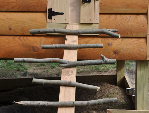 DIY Natural Stick Chicken Coop Ladder
