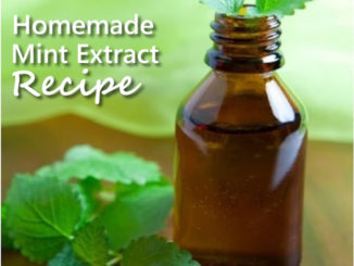 Homemade Mint Extract Recipe