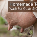 Homemade Teat Wash For Cows & Goats