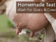 Homemade Teat Wash For Cows & Goats