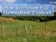How To Improve Your Homestead Pasture