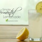 Simple Fermented Lemonade Recipe