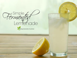 Simple Fermented Lemonade Recipe