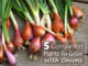 5 Companion Plants To Grow With Onions