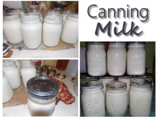 Canning Milk