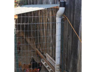 DIY PVC Long Arm Chicken Feeder