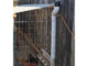 DIY PVC Long Arm Chicken Feeder