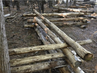 DIY Rail Fence