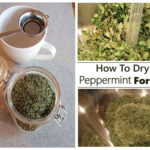 How To Dry Peppermint For Tea