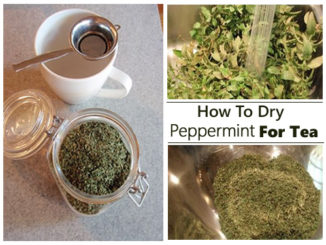 How To Dry Peppermint For Tea