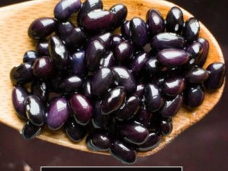 How To Grow Black Beans