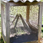 DIY King Fly Trap