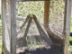 DIY King Fly Trap