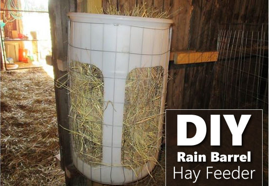 DIY Rain Barrel Hay Feeder