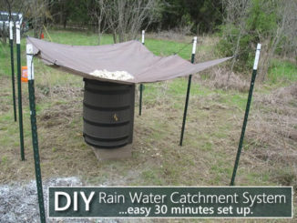 DIY Rain Water Catchment System