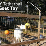 DIY Tetherball Goat Toy