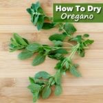 How To Dry Oregano