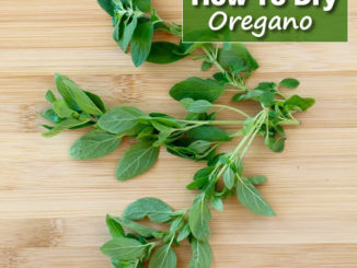 How To Dry Oregano