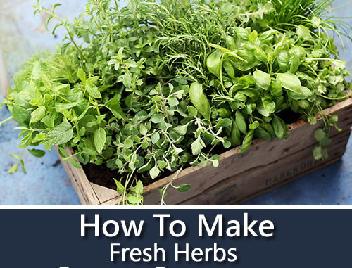 How To Make Fresh Herbs Last Longer