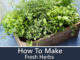 How To Make Fresh Herbs Last Longer
