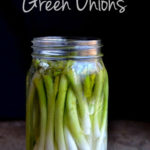 Pickled Green Onions Recipe