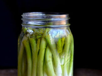 Pickled Green Onions Recipe