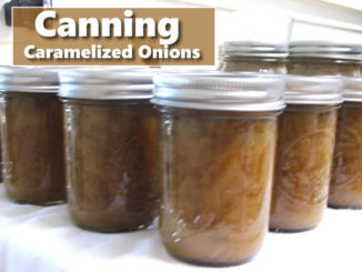 Canning Caramelized Onions
