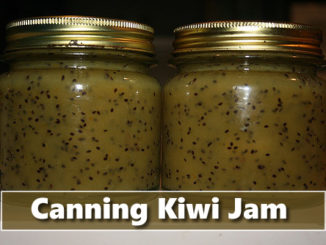 Canning Kiwi Jam