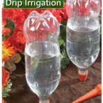 DIY Plastic Bottle Slow Drip Irrigation