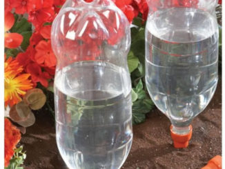 DIY Plastic Bottle Slow Drip Irrigation