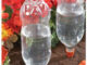DIY Plastic Bottle Slow Drip Irrigation