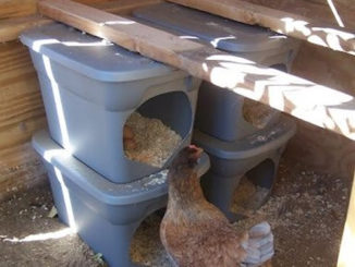 DIY Plastic Tote Nesting Box