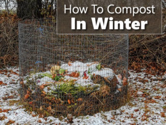 How To Compost In Winter